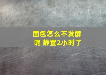 面包怎么不发酵呢 静置2小时了